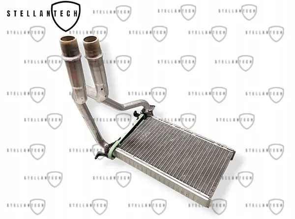 Verwarming Radiator OE 669973 9808075780 image 2