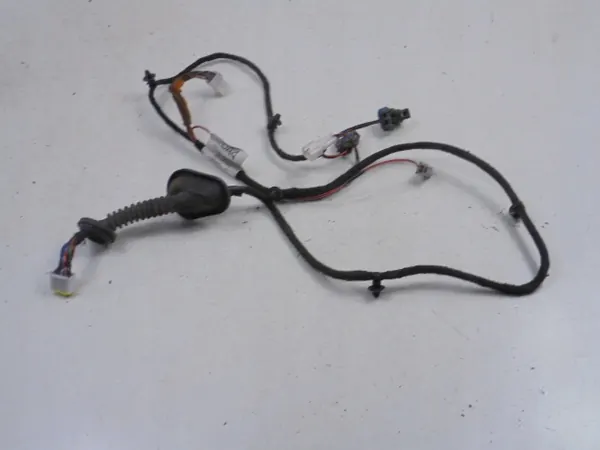 Haz de puerta Opel Frontera B OEM 97200 831/000 image 4