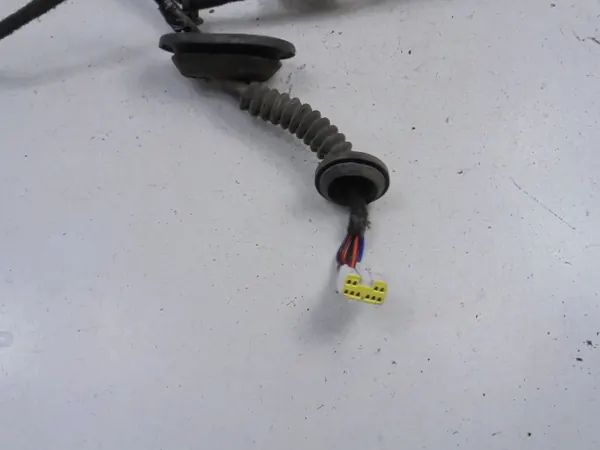 Haz de puerta Opel Frontera B OEM 97200 831/000 image 7