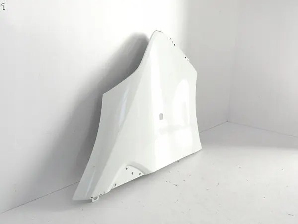 Fram Höger Skärm RENAULT TRAFIC III 14-21 OEM 631001616R image 2