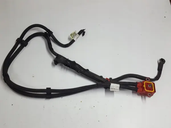 Accukabel OEM 52179904 voor Fiat Panda III 1.0 Hybride image 2