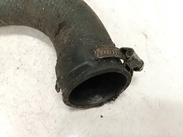 Manguera de intercooler Renault Scenic 2002 1.9L 8200065740a image 3