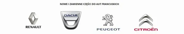 Spegelskydd OEM 9425E6 för Peugeot 508 image 4