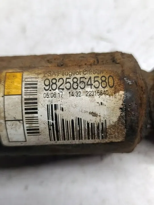 Amortiguador trasero DS OEM 9825854580 para DS3 image 4