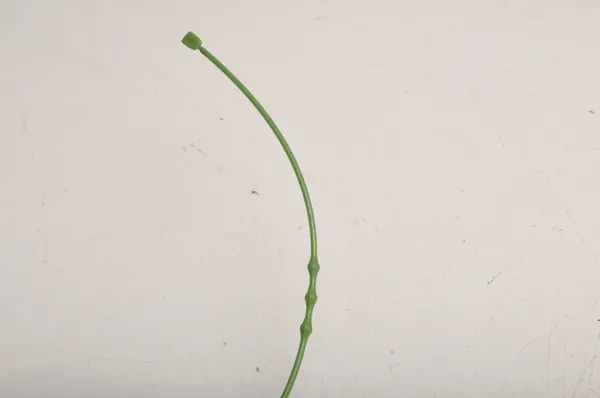 MINI F60 Atuador de bloqueio da tampa de combustível 9336600 image 3