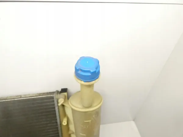 Radiador de agua Fiat Panda II 1.1 8V 03-12 OEM image 9