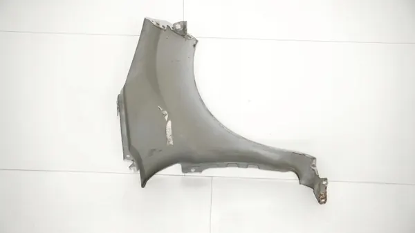 Para-lamas dianteiro esquerdo OEM 360152231 para Ford Fiesta MK7 image 9