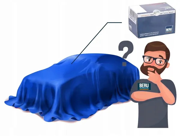 Bobina de ignição BorgWarner ZS315 image 10