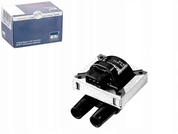 Bobina de ignição BorgWarner ZS315 image 8