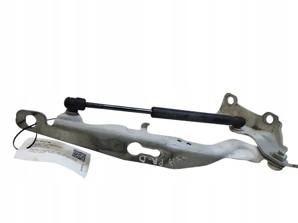 Bisagra de Capó Derecha VOLVO V70 III 30649516 image 3