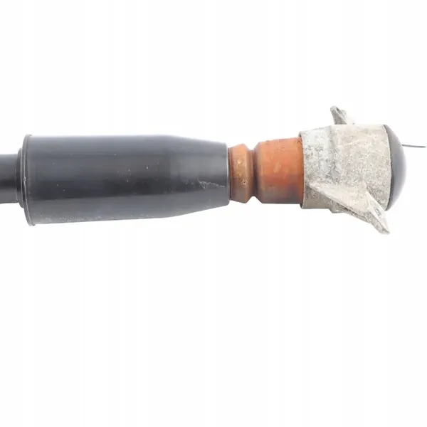 Ammortizzatore Posteriore Audi Q5 8R Sinistro Destro 8R0513035AE image 7