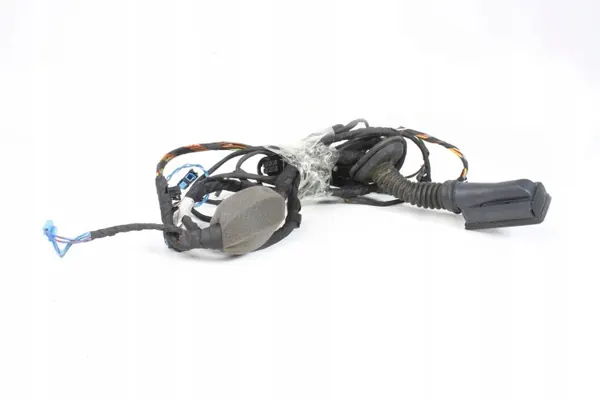 Harness porta dianteira direita BMW G01 X3 image 2