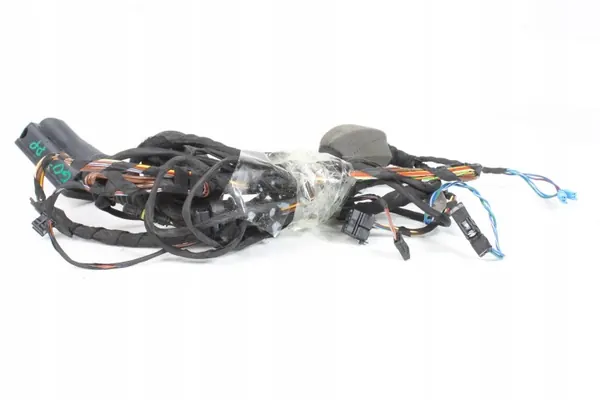 Harness porta dianteira direita BMW G01 X3 image 3
