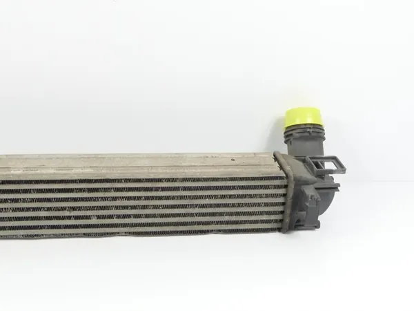 Intercooler Renault Scenic III 09-16 1.5 dCi K9K 832 image 6