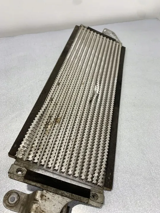 Refroidisseur de carburant Jaguar OEM FBZ19098 - Occasion image 4