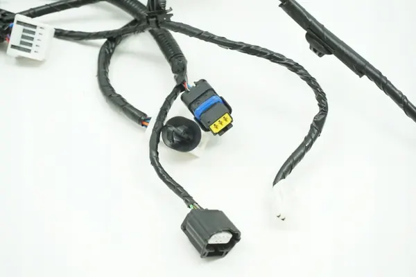 Deur bedrading OEM 24124JY41C voor Renault Koleos image 3