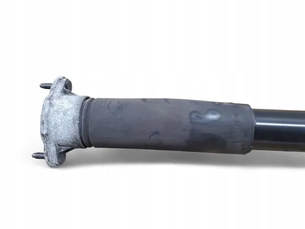 Bakre vänstra stötdämpare Mercedes-Benz E C207 W207 2014 A2073204330 image 6