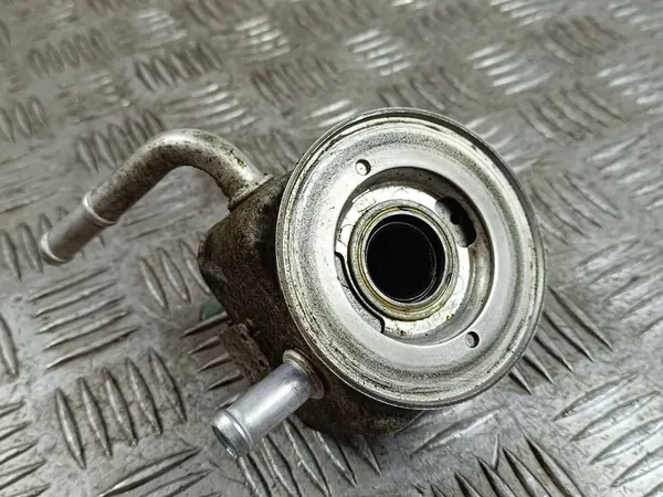 2018 Hyundai Kona I Oljefilterbas 20180515031112 image 3