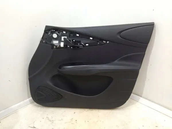 Rechtes vorderes Türpanel BYD Dolphin image 2