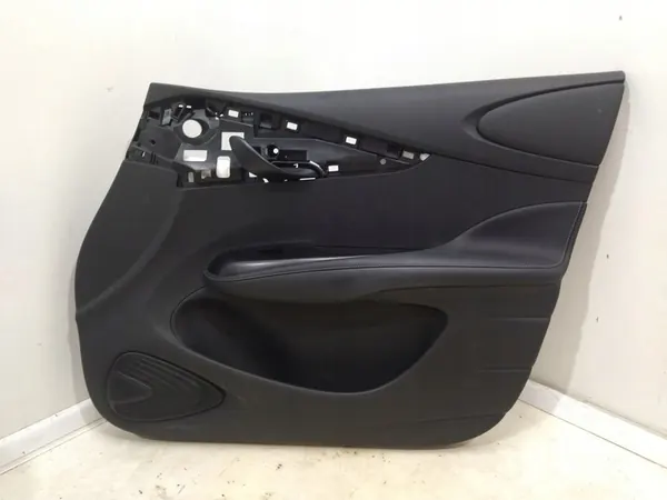 Rechtes vorderes Türpanel BYD Dolphin image 3