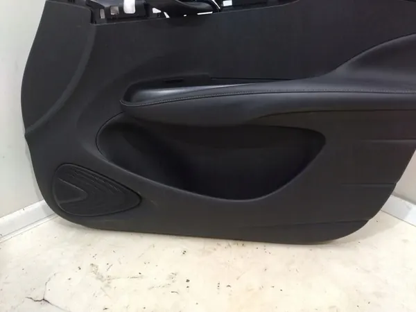 Rechtes vorderes Türpanel BYD Dolphin image 9