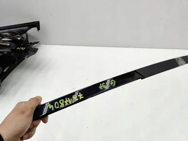 BMW X6 F16 Rechter Achterdeur Verticale Strip OEM 7317804 image 3