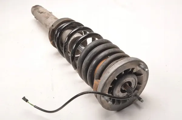 Ammortizzatore Posteriore Sinistro BMW 5 F10 M5 4.4 2284047 image 9