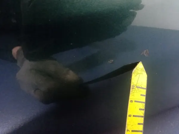 Nissan Primera P12 Front Bumper 62022-AU340 DV9 image 10