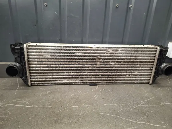 Intercooler OEM A9065010201 pour Mercedes W906 2.2 DCI image 2
