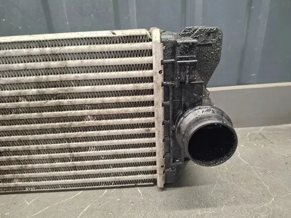 Intercooler OEM A9065010201 pour Mercedes W906 2.2 DCI image 3