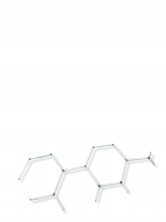 OEM 43R00128 Audi S5 achterdeur driehoekruit image 4