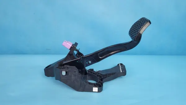 OEM 204000920AA Rempedaal met Sensor voor Chery image 7