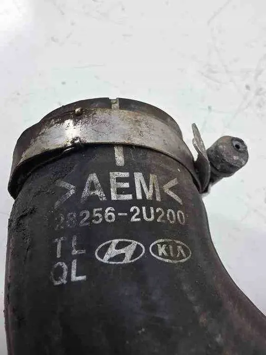 Polttoainesuodattimen Kotelo KIA SPORTAGE 1.6L Diesel 2020 image 5