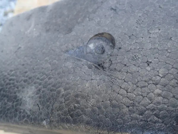 Etupuskuri-tanko Fiat Punto 2012- image 4