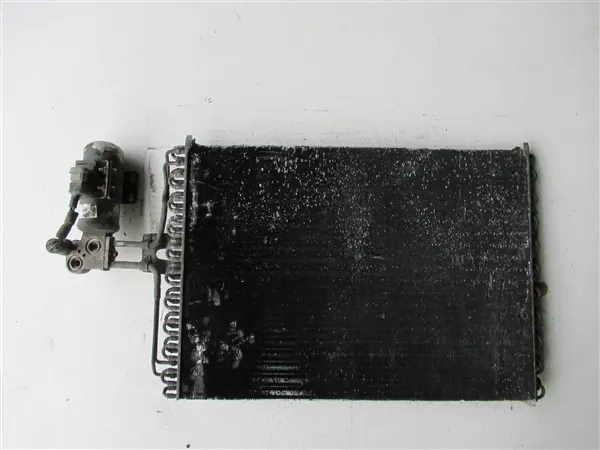 Kühler Ford Probe OEM 12430173454 - Gebraucht image 2