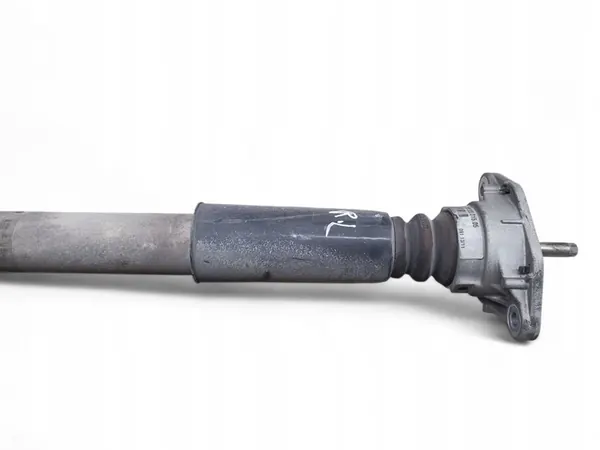 Ammortizzatore posteriore sinistro Porsche Panamera (970) 2011 OEM image 5