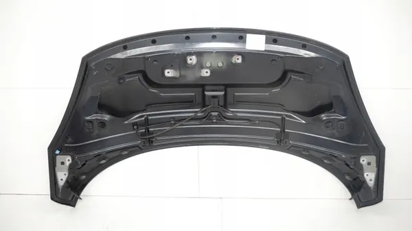 OEM 360177901 Cubierta Motor Renault Grand Scenic III image 8