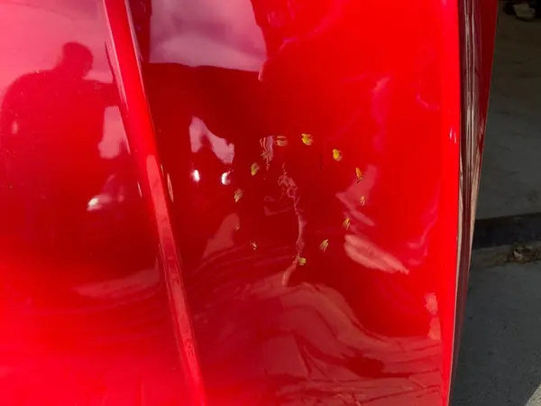 Volkswagen T-Roc 2018 Framskärm image 6