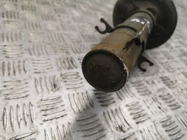 Ammortizzatore anteriore sinistro Seat Toledo II (1M) 1999 AMD59743 image 2