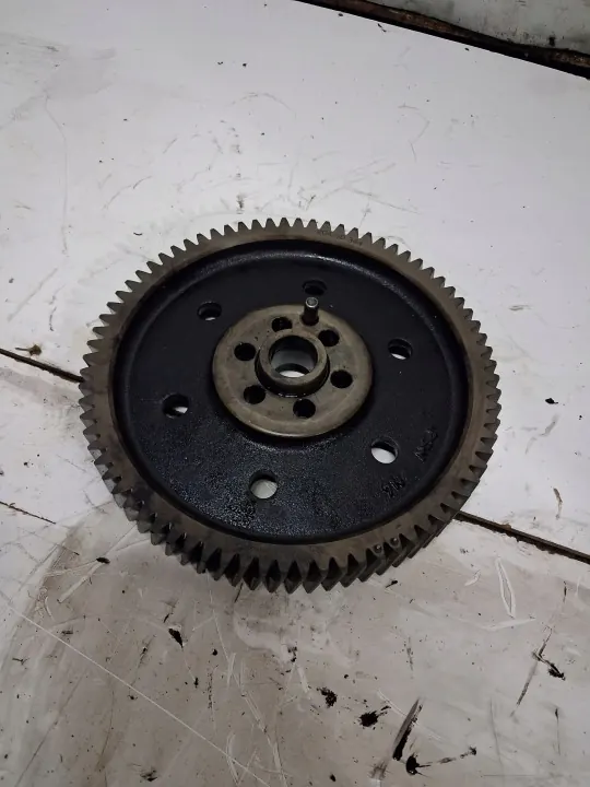 Pignon d'arbre à cames OEM 20450344 pour Renault Magnum image 2