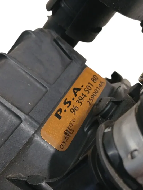 Pompe à air secondaire OEM 9639450180 RFN Peugeot image 3