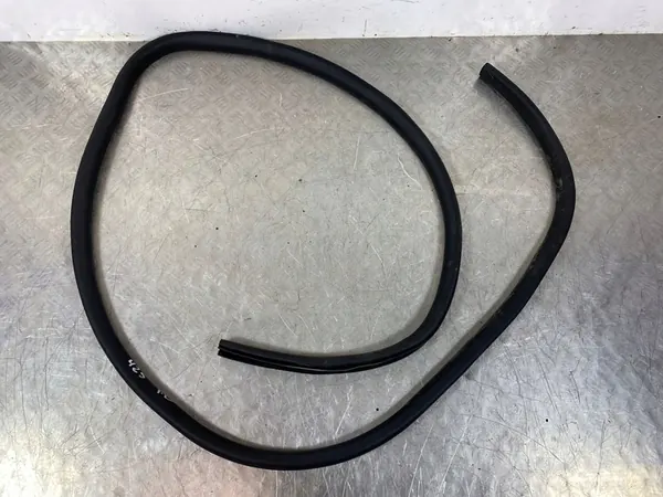 Vedação da porta dianteira Ford Escape IV 2022 OEM FOB52162 image 1