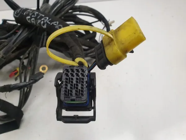 Faisceau Installation GPL OEM 67R010254 Occasion image 3