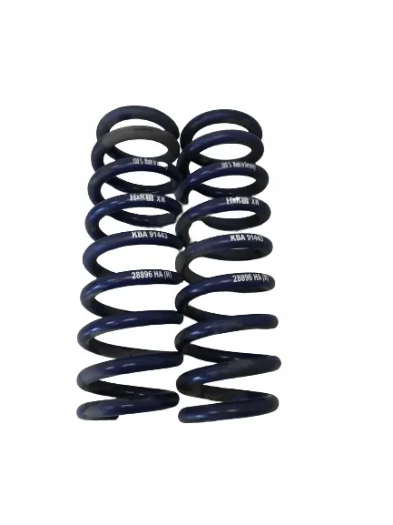 H&R Lowering Springs Rear BMW F21 image 1
