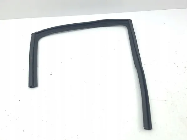 Fönstertätning AMD179409 OEM för bakdörr - Nissan Juke image 2