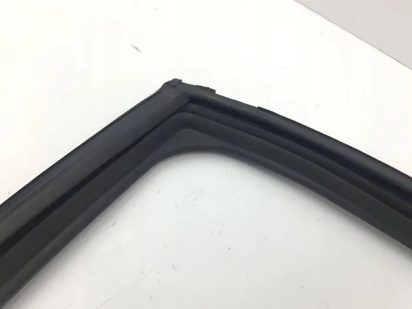 Fönstertätning AMD179409 OEM för bakdörr - Nissan Juke image 10