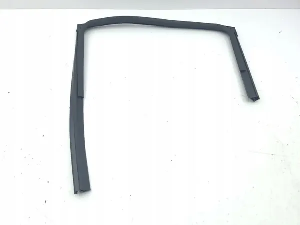 Fönstertätning AMD179409 OEM för bakdörr - Nissan Juke image 9