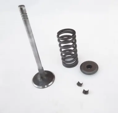 Ventilfjäder OEM 9822 för Peugeot 1.6E HDi motor image 5