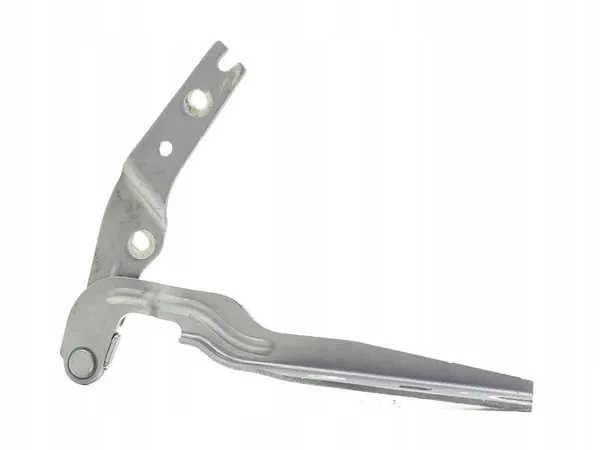 Haste da Tampa Dianteira Direita VW Golf VII LA7N 5G0823302B image 2