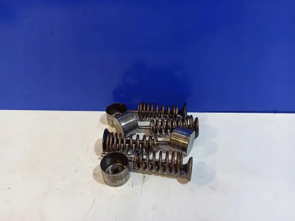 Uitlaatkleppen OEM 31380436 voor Volvo V60 2.0L image 2